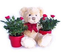 Plüss mackó Valentin napi rózsákkal